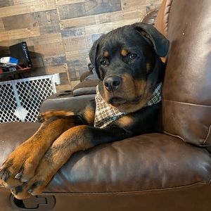 Meet your Posher, Deborah